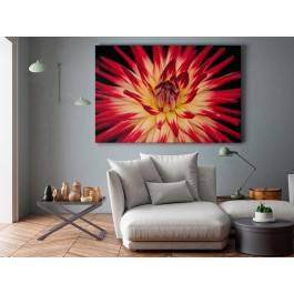 W promieniach płatków - fotoobraz na płótnie - 120x80 cm