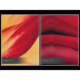 W promieniach płatków - fotoobraz na płótnie - 120x80 cm