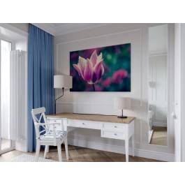 Tulipanowe marzenie - zdjęcie na płótnie - 120x80 cm
