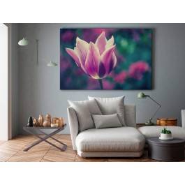 Tulipanowe marzenie - zdjęcie na płótnie - 120x80 cm