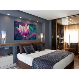 Tulipanowe marzenie - zdjęcie na płótnie - 120x80 cm