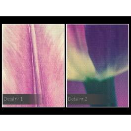 Tulipanowe marzenie - zdjęcie na płótnie - 120x80 cm