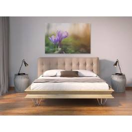 Krokusy o poranku - nowoczesny obraz na płótnie - 120x80 cm Krokusy o poranku - nowoczesny obraz na płótnie - 120x80 cm