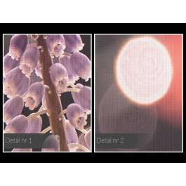 Migotliwe dzwoneczki - fotoobraz do sypialni - 120x80 cm Migotliwe dzwoneczki - fotoobraz do sypialni - 120x80 cm