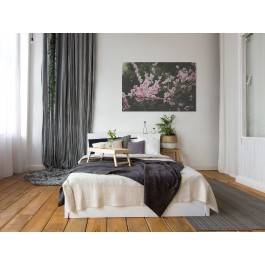 Wiśnia w rozkwicie - fotoobraz na płótnie - 120x80 cm Wiśnia w rozkwicie - fotoobraz na płótnie - 120x80 cm