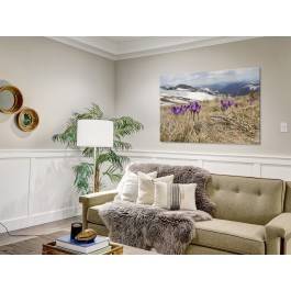 Krokusy w górach - zdjęcie na płótnie - 120x80 cm