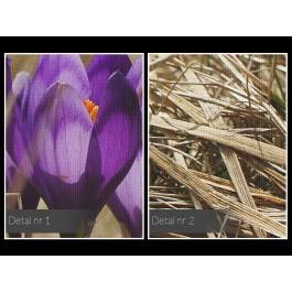 Krokusy w górach - zdjęcie na płótnie - 120x80 cm