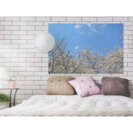 Wiosenne niebo - nowoczesny obraz na płótnie - 120x80 cm Wiosenne niebo - nowoczesny obraz na płótnie - 120x80 cm