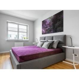 Tajemniczy ogród - fotoobraz do sypialni - 120x80 cm