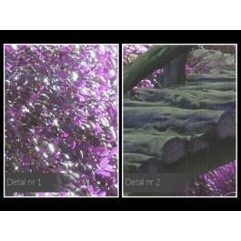 Tajemniczy ogród - fotoobraz do sypialni - 120x80 cm