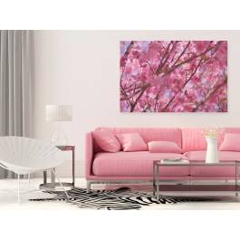 Wiśnia w malinie - fotografia na płótnie - 120x80 cm