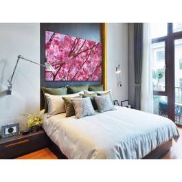 Wiśnia w malinie - fotografia na płótnie - 120x80 cm