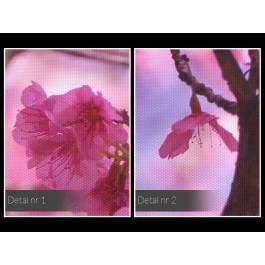 Wiśnia w malinie - fotografia na płótnie - 120x80 cm