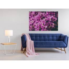 Liliowa bugenwilla - fotoobraz na płótnie - 120x80 cm