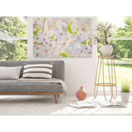 Delikatne płatki - zdjęcie na płótnie - 120x80 cm Delikatne płatki - zdjęcie na płótnie - 120x80 cm