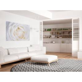 Kwiat niewinności - nowoczesny obraz na płótnie - 120x80 cm