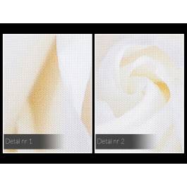 Kwiat niewinności - nowoczesny obraz na płótnie - 120x80 cm