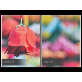 Dzieci kwiaty - fotoobraz na płótnie - 120x80 cm