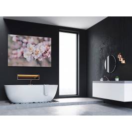 Białokrzew - zdjęcie na płótnie - 120x80 cm