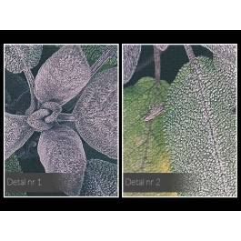 W gąszczu zieleni - fotoobraz do salonu - 120x80 cm