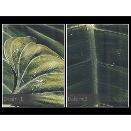 Malachitowy cień - fotografia na płótnie - 120x80 cm Malachitowy cień - fotografia na płótnie - 120x80 cm