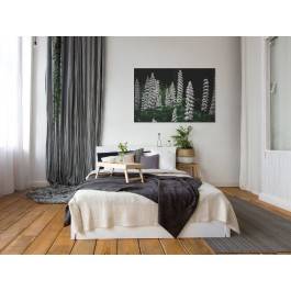 Biały łubin - fotoobraz na płótnie - 120x80 cm