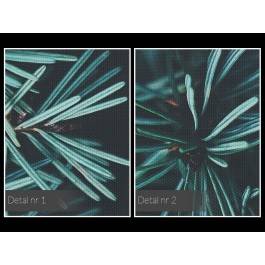 Zapach lasu - nowoczesny obraz na płótnie - 120x80 cm