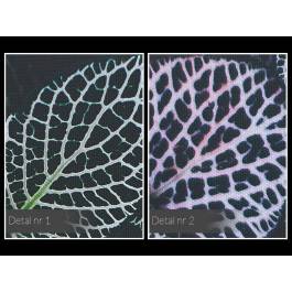 Patynowe osobistości - fotoobraz do salonu - 120x80 cm