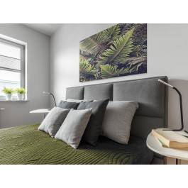 Kuriozum natury - fotoobraz do sypialni - 120x80 cm