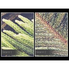 Kuriozum natury - fotoobraz do sypialni - 120x80 cm