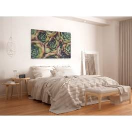 Kolorowe sukulenty - nowoczesny obraz na płótnie - 120x80 cm Kolorowe sukulenty - nowoczesny obraz na płótnie - 120x80 cm