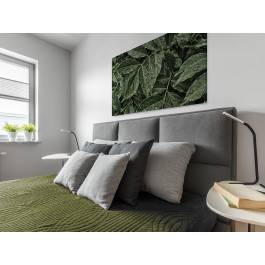 Wiosenna rosa - zdjęcie na płótnie - 120x80 cm