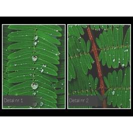 Soczyste zielenie - fotoobraz do salonu - 120x80 cm