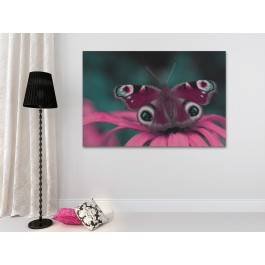 Piękno fauny skąpane w różu - nowoczesny obraz na płótnie - 120x80 cm