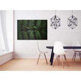 Fenomen zieleni - fotografia na płótnie - 120x80 cm