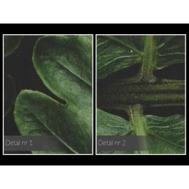 Fenomen zieleni - fotografia na płótnie - 120x80 cm