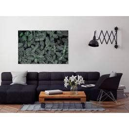Ogród botaniczny - fotoobraz na płótnie - 120x80 cm Ogród botaniczny - fotoobraz na płótnie - 120x80 cm