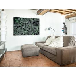 Ogród botaniczny - fotoobraz na płótnie - 120x80 cm Ogród botaniczny - fotoobraz na płótnie - 120x80 cm