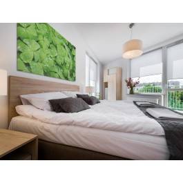 Czterolistna koniczynka - zdjęcie na płótnie - 120x80 cm