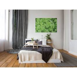 Czterolistna koniczynka - zdjęcie na płótnie - 120x80 cm