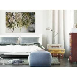 Pod kwiatem paproci - fotografia na płótnie - 120x80 cm