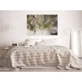 Pod kwiatem paproci - fotografia na płótnie - 120x80 cm