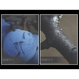 Leśny przysmak - fotoobraz do kuchni - 120x80 cm