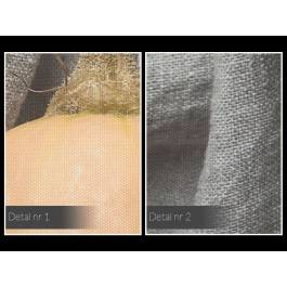 Piżmowe dynie - fotoobraz do kuchni - 120x80 cm