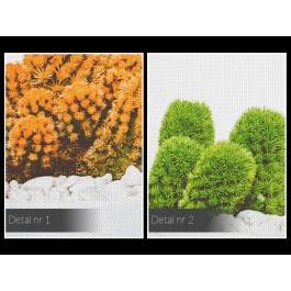 Barwy pustyni - fotoobraz do kuchni - 120x80 cm