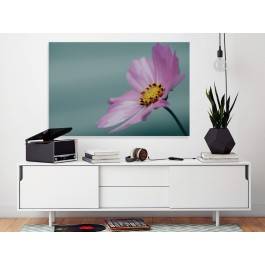 Schyłek lata - nowoczesny obraz na płótnie - 120x80 cm Schyłek lata - nowoczesny obraz na płótnie - 120x80 cm