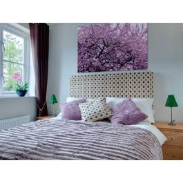 Zwiastowanie wiosny - zdjęcie na płótnie - 120x80 cm Zwiastowanie wiosny - zdjęcie na płótnie - 120x80 cm