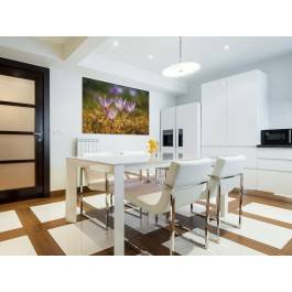 Roztańczone krokusy - fotoobraz do salonu - 120x80 cm