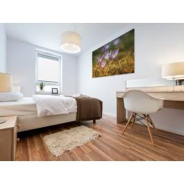 Roztańczone krokusy - fotoobraz do salonu - 120x80 cm