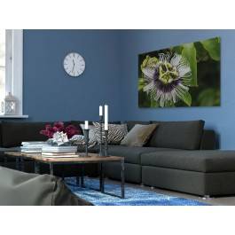 Ekscentryczność natury - zdjęcie na płótnie - 120x80 cm